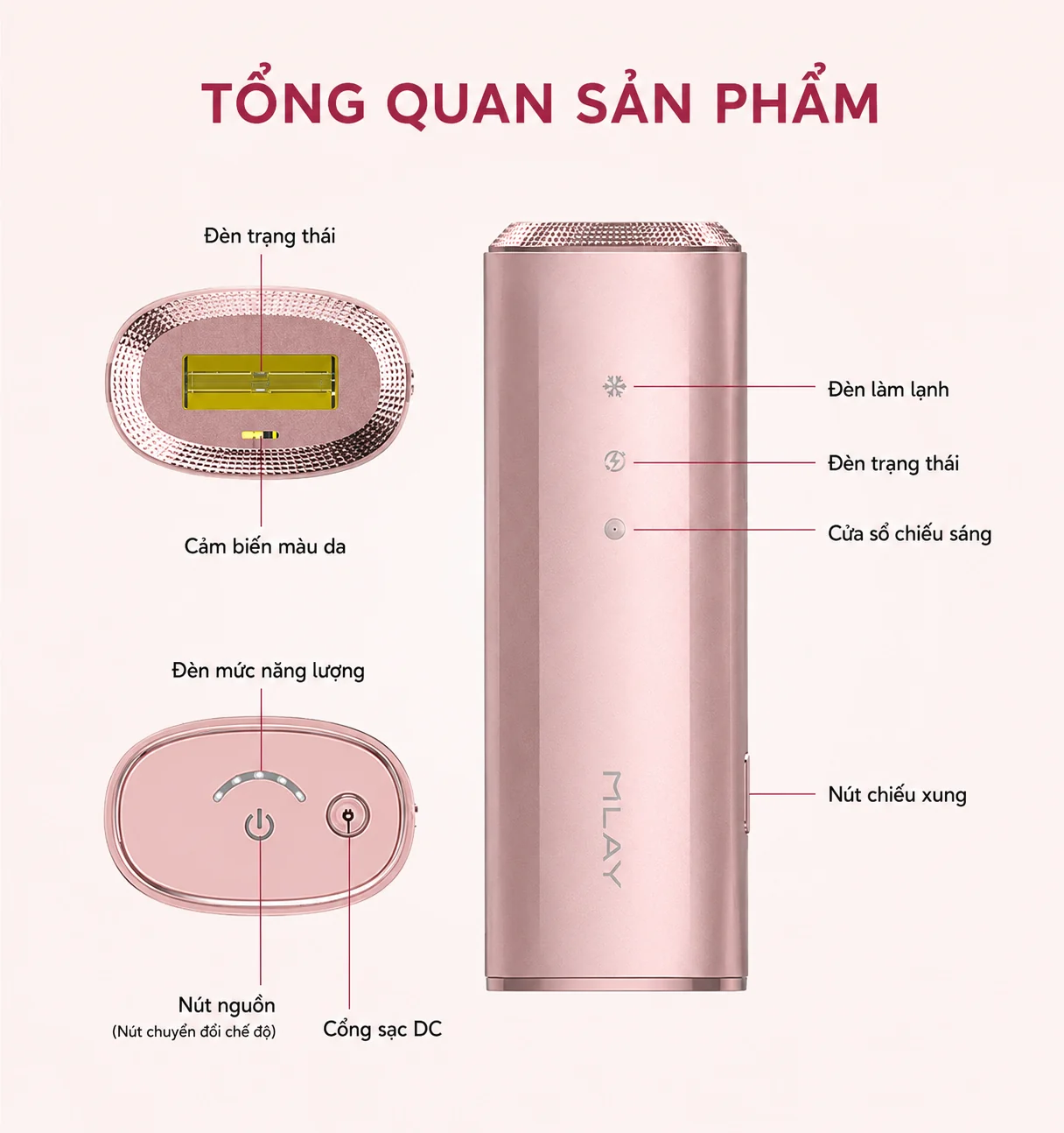 Tổng quan cấu tạo MLay T25C