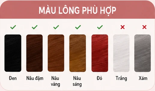 Màu lông phù hợp khi sử dụng MLay T25C